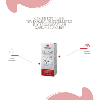 Plus B Kedi Tüy Vitamini Biotin Çinko Destekli Tüy Dökülmesini Azaltan Damla 50ml