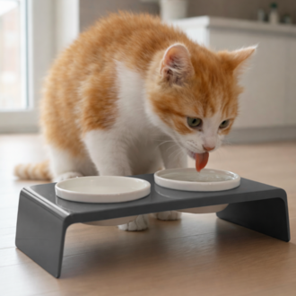 Petscape 2'li Yükseltilmiş Seramik Renkli Standlı Kedi Köpek Mama Su Kabı