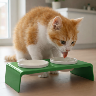 Petscape 2'li Yükseltilmiş Seramik Renkli Standlı Kedi Köpek Mama Su Kabı