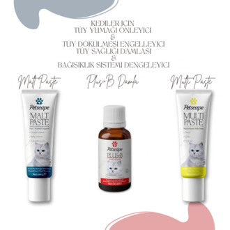 Kedi Malt Macunu Tüy Yumağı Önleyici Sindirim Destekleyici Hairball Control Malt Paste 100g