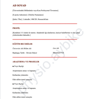 Akademik CV Şablonu 2 | Google Docs Düzenlenebilir