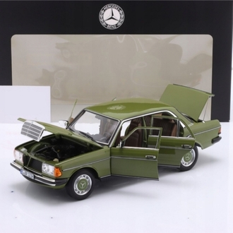 MERCEDES BENZ E CLASS 200 W123 AGAVE GREEN
1976