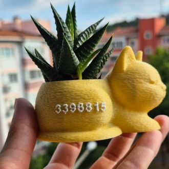 Mini Kedi Saksı