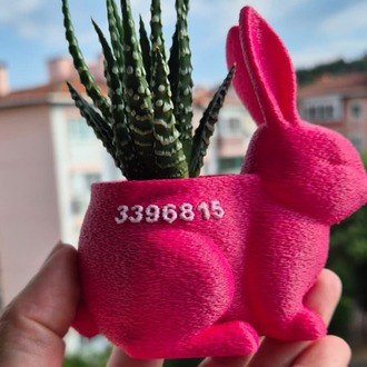 Mini Tavşan Saksı