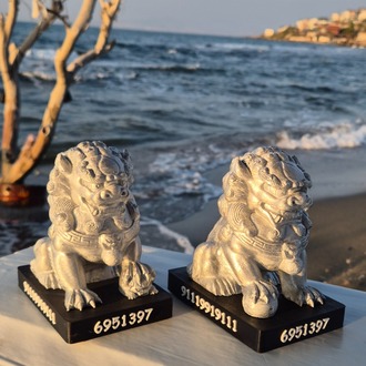 Foo Dogs Feng Shui