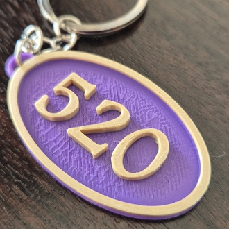 520 Anahtarlık