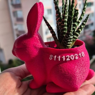 Mini Tavşan Saksı