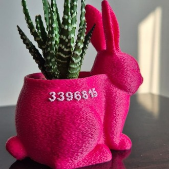Mini Tavşan Saksı