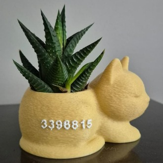 Mini Kedi Saksı