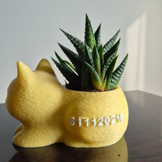 Mini Kedi Saksı