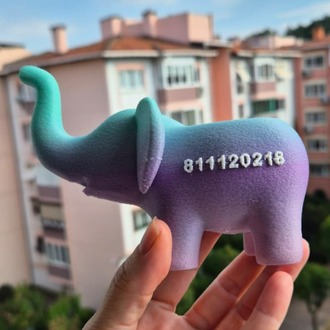 Mini Fil Saksı