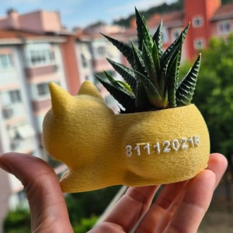 Mini Kedi Saksı