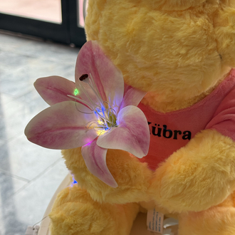 Lilyumlu isim pooh