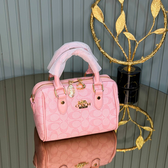 Coach mini