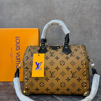Lv
