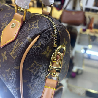 Lv 