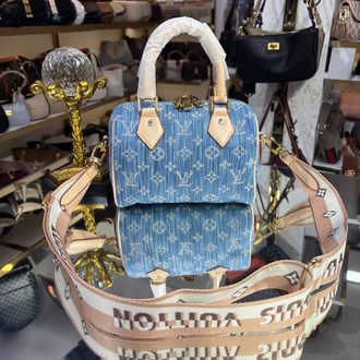 Lv 