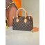 Lv ONTHEGO PM 