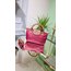 Longchamp mini kanvas askı