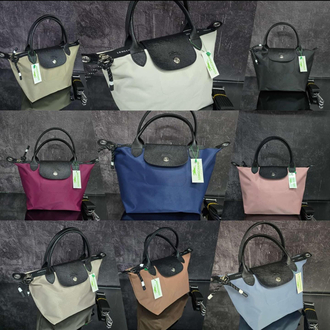 Longchamp energy