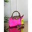 Longchamp mini kanvas askı