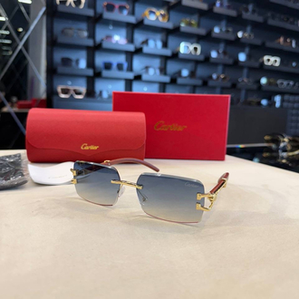  Cartier gözlük