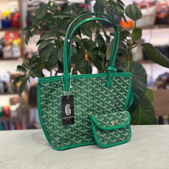Goyard mini