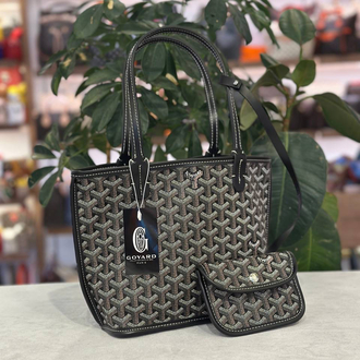 Goyard mini