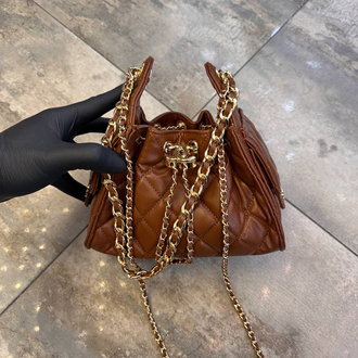 Chanel mini