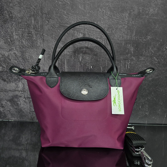 Longchamp energy