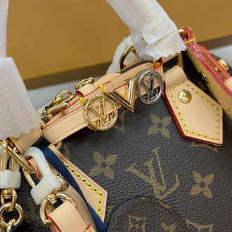 Premium LV alma bb
