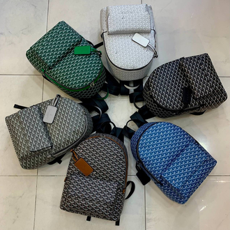 Goyard sırt
