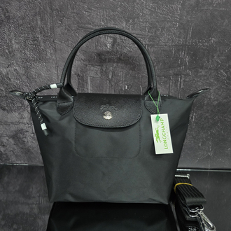 Longchamp energy