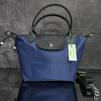 Longchamp energy