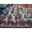 Opuntia microdasys 'Albispina'
5,5 cm saksılı kaktüs
