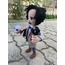 Edgar Allan Poe