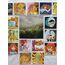winx club mood set