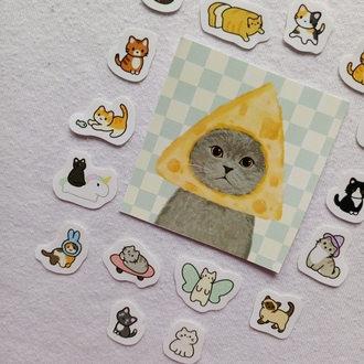 mini cats