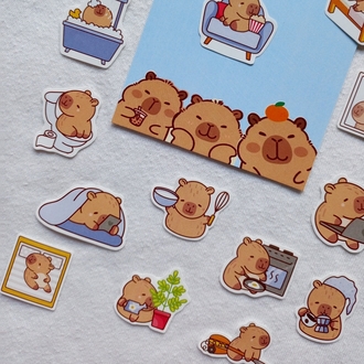 cute capybara