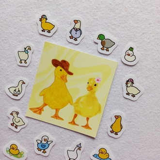 mini duck