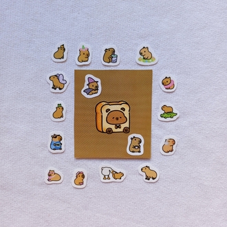 mini capybara