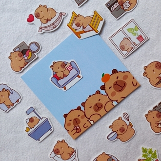 cute capybara