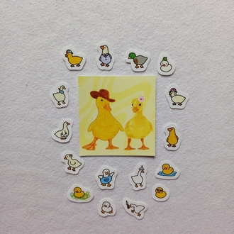mini duck