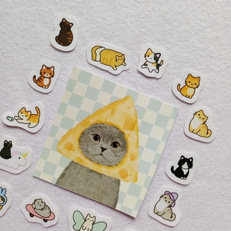 mini cats