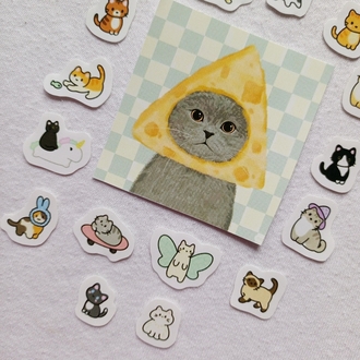mini cats