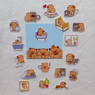 cute capybara
