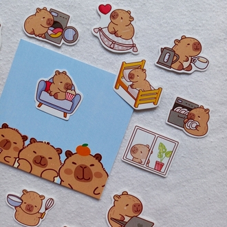cute capybara