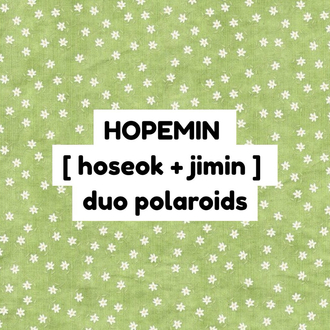 bts hopemin duo polaroid