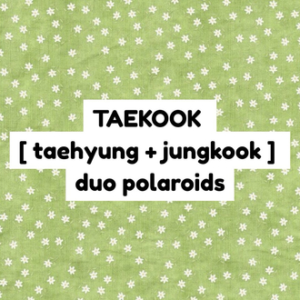 bts taekook duo polaroid