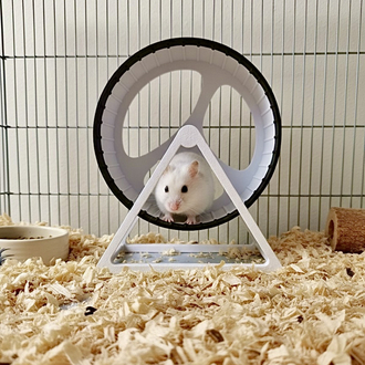 Premium Hamster Egzersiz Çarkı